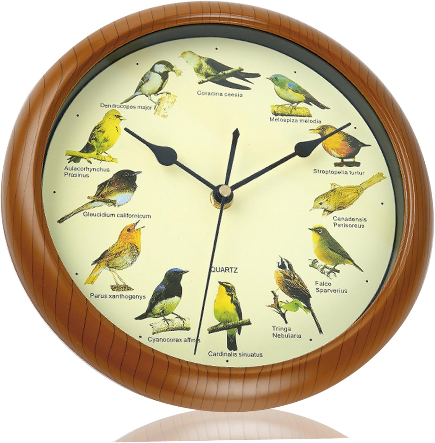 Bird Clock 10'' Round Bird Clock That Sings on Hour, Sound with 12 Pattern Wall for Christmas Home Office Christmas Decor (Without Battery), Wall Clocks