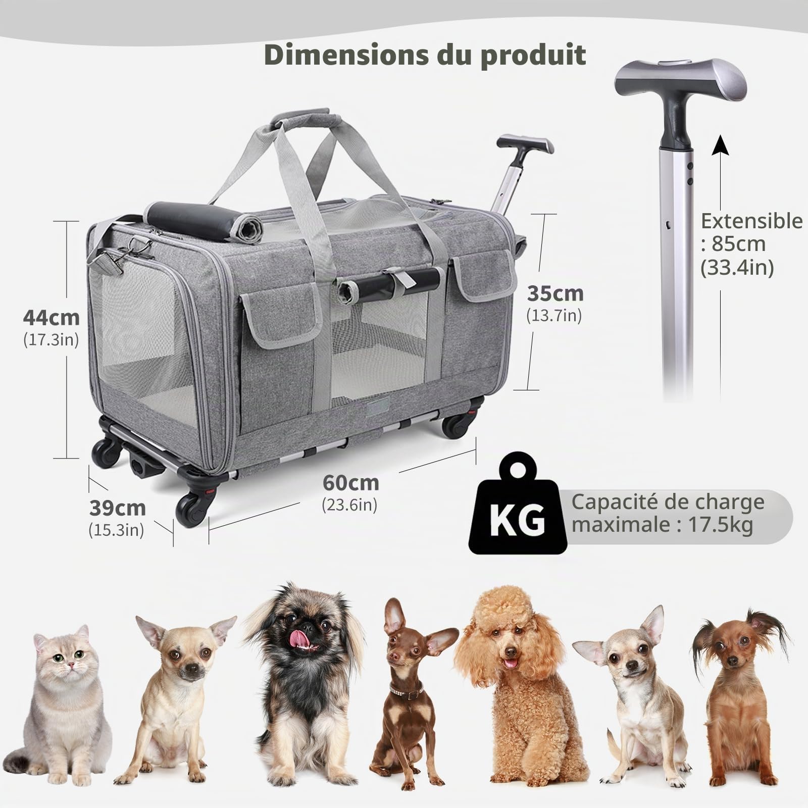 PETCUTE Sac de Transport pour Chien/Chat à roulettes,Pliable Sac de Transport Chats avec Poignée Télescopique,Caisse de Transport Chat en Maille Respirant avec Tapis Amovible,Airline Approuvé
