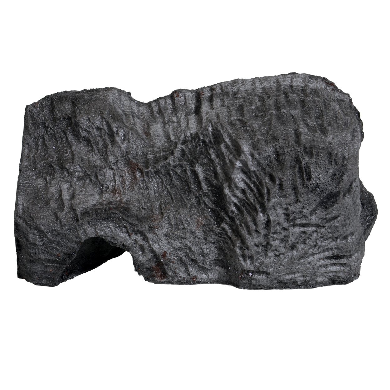37173 Granite Burrow, Large