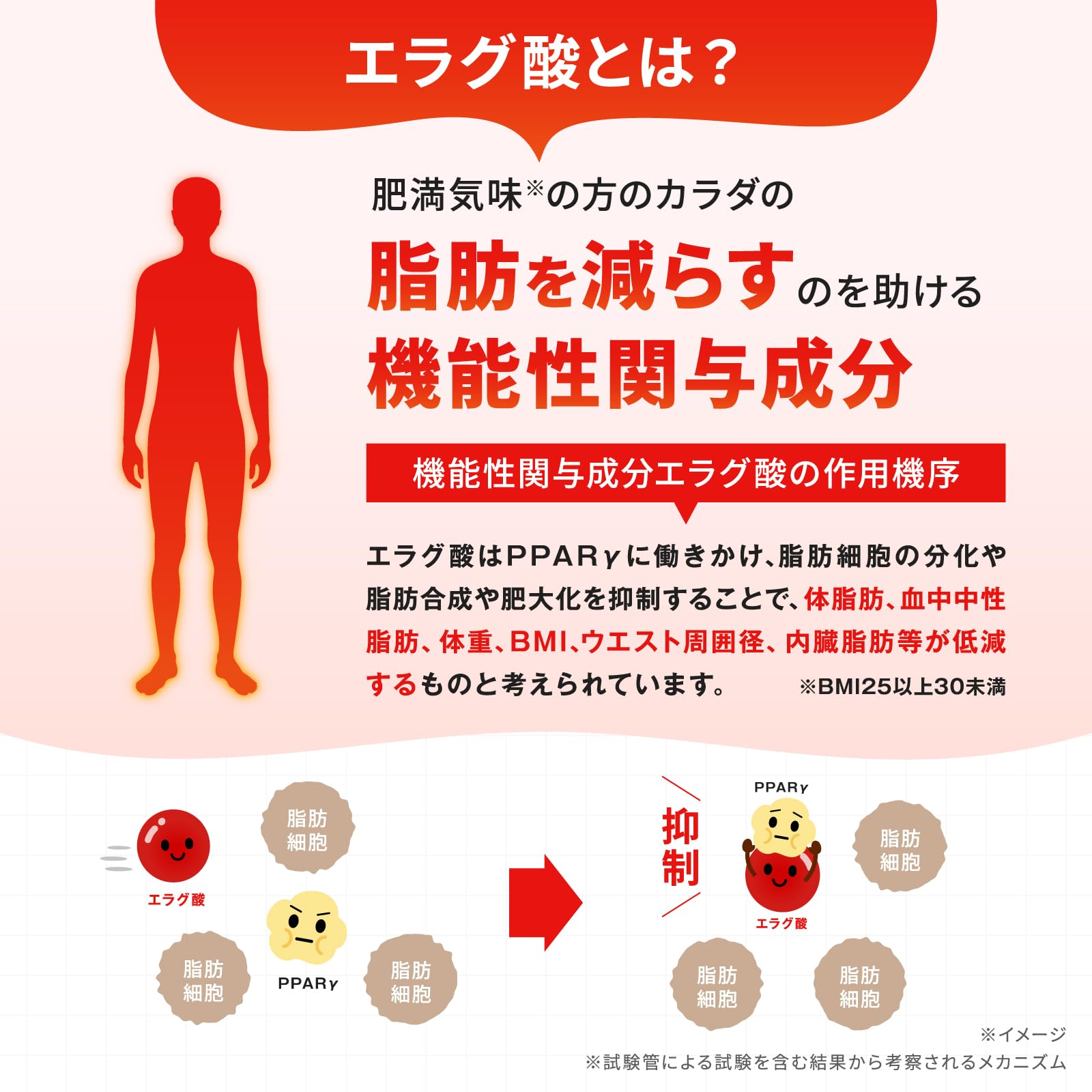 Amazon | 日清食品 ナイスリムサポート エラグ酸のチカラ [ 機能性表示