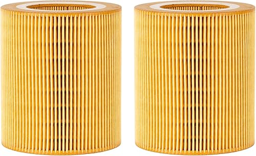 GETOPAUTO 1613872000 Filtro de aire compatible con Atlas Copco Compressor 6211472350 100001611 2013400003 (juego de 2)