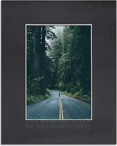 Miniatura 3 de TheDisplayGuys - Paquete de 10 tableros precortados sin ácidos de 11 x 14 pulgadas, mate a 8 x 10 pulgadas, apertura biselada con núcleo blanco de 4