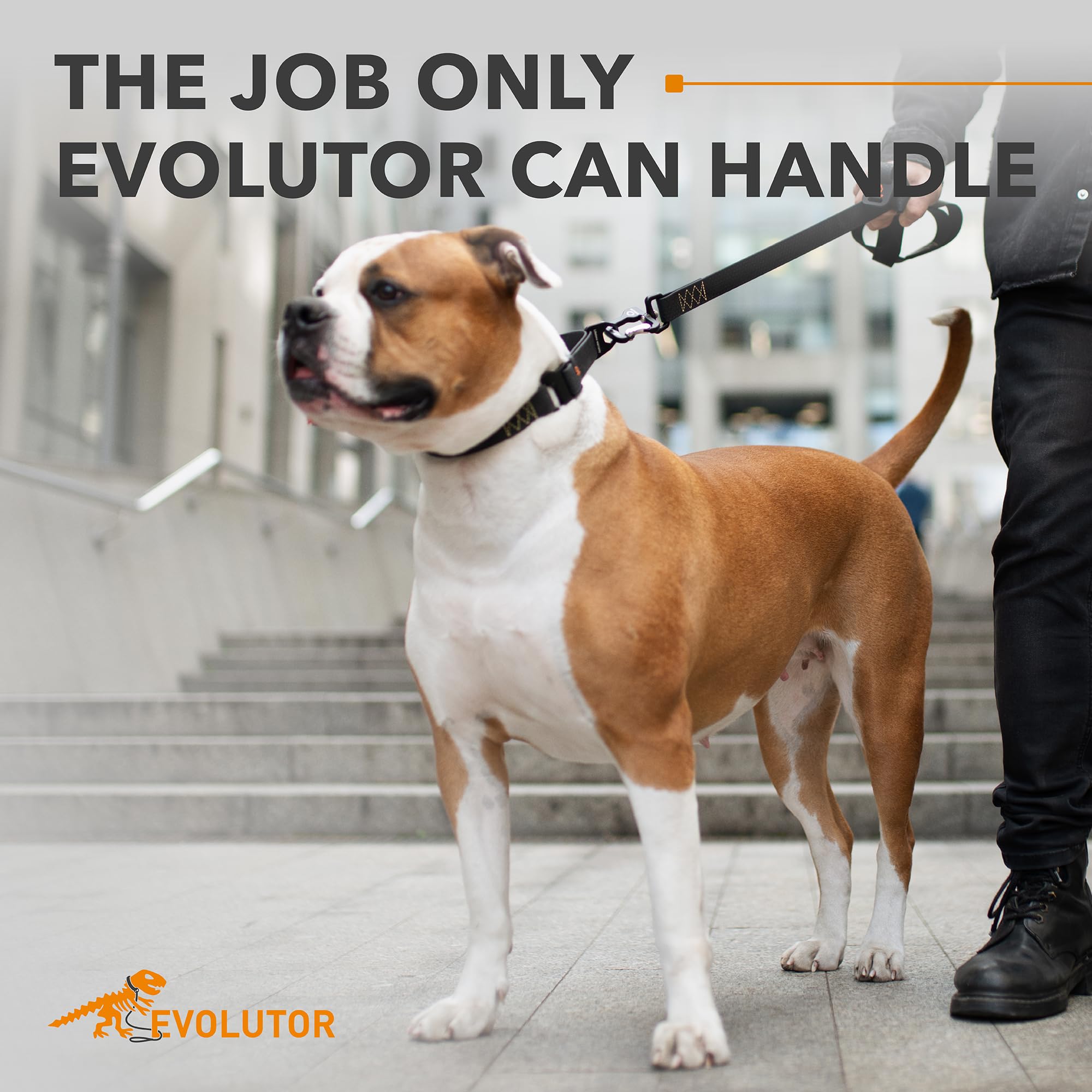 COLLAR Evolutor Extra Heavy Duty 10 Ft Dog Leash - Durable for Large, Medium and Small Dogs - Strong for Large Breeds - Walking (Black)