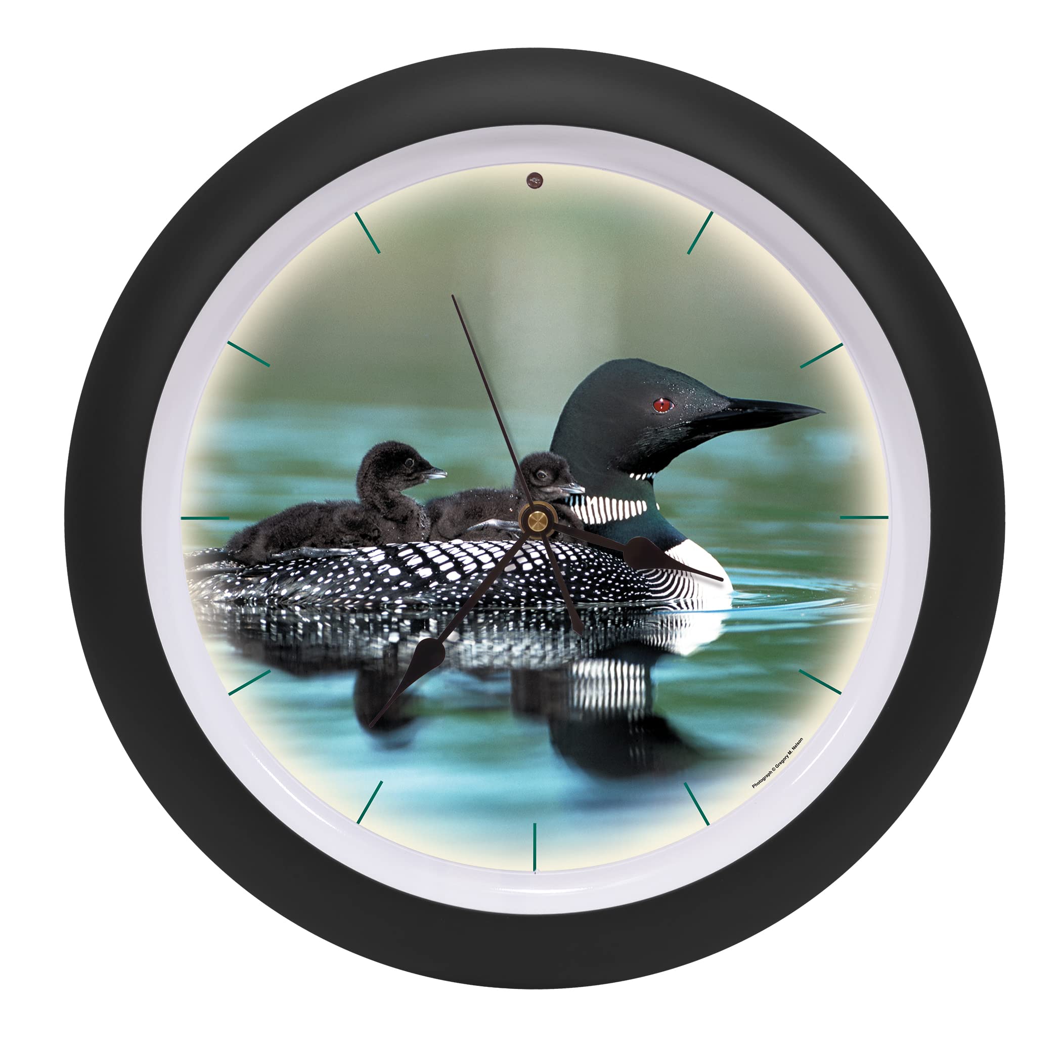 Mark Feldstein & Associates Call of The Loon Artwork Matte Black 13 inch Sound Wall Clock