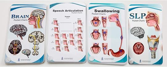 Blue Tree Publishing SLP, Swallowing, Speech Articulation, Brain Anatomy Anatomical Pocket Charts Set 4x5.25inch