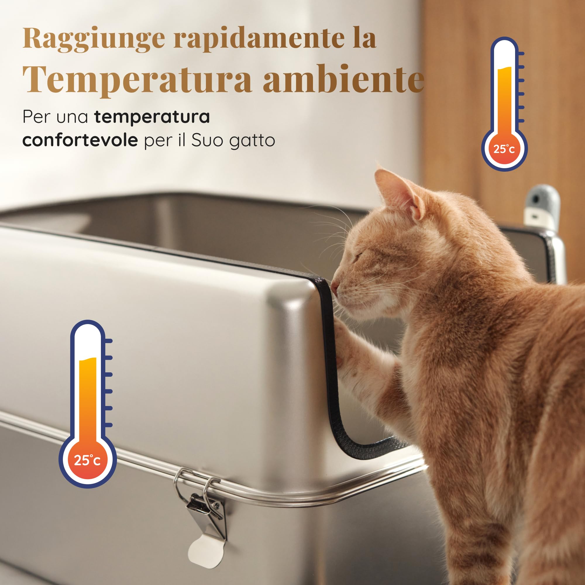 Lettiera Acciaio Inox – Inodore e Antiaderente – La Cassetta Gatto Inox XXL – Capacità 38L – Lettiere in acciaio per gatti – Con Paletta e Tappetino per Lettiera – 60 × 40 × 32 cm