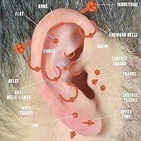 Vista 6 de LOYAL BOOK Kit de 104 piezas de Piercing 14G16G Kit de Piercing para todos los piercings (color acero inoxidable)