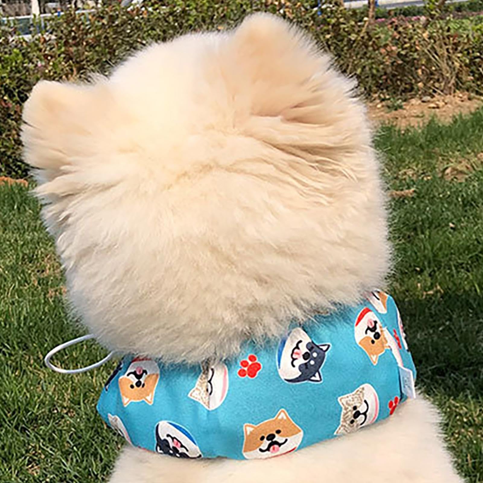 Gilet et collier rafraîchissants pour chien, bandana rafraîchissant pour chien, ensemble de manteau rafraîchissant pour chien, fournitures de refroidissement d'été pour chien