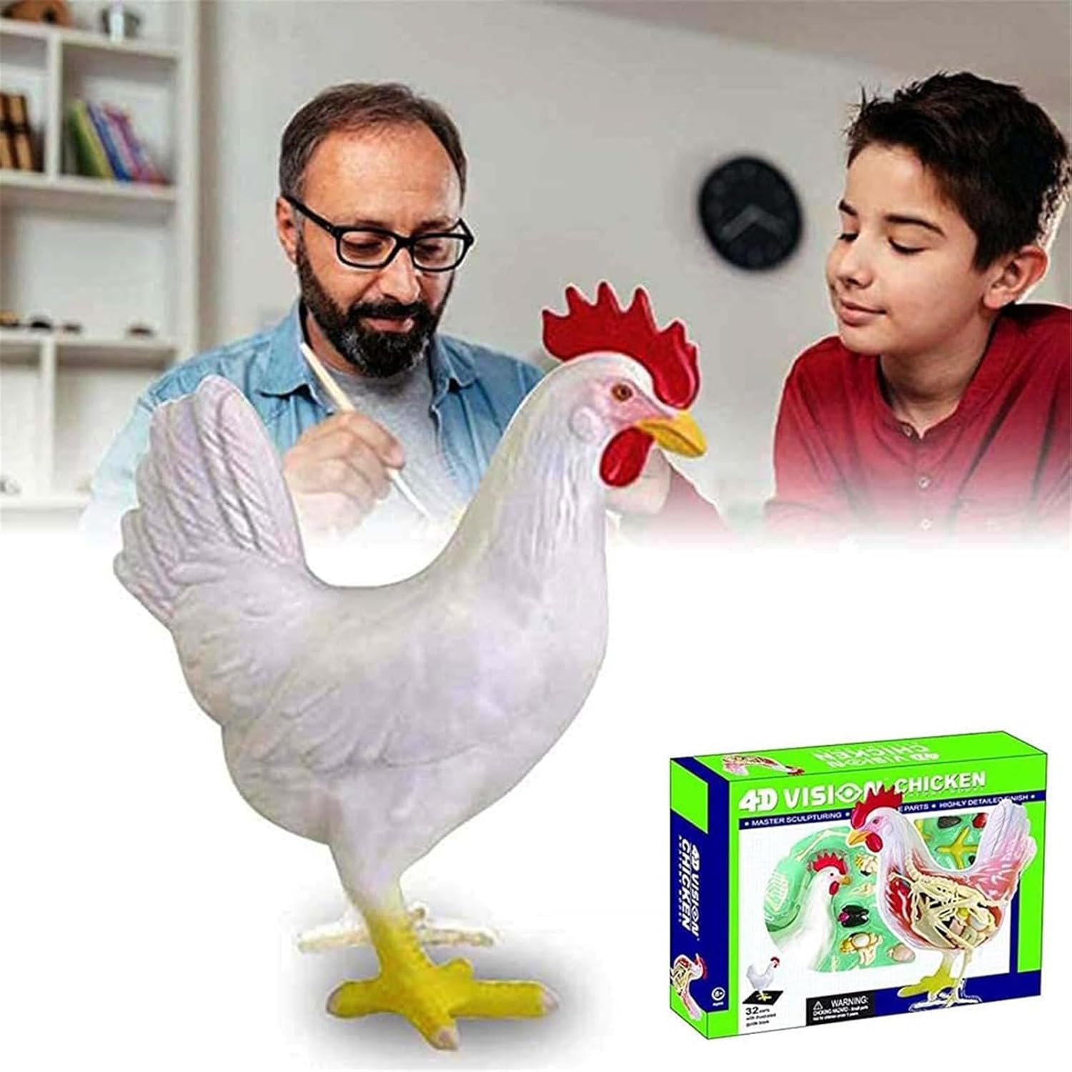 Modelo de anatomía de pollo de 32 piezas desmontables con base para enseñanza