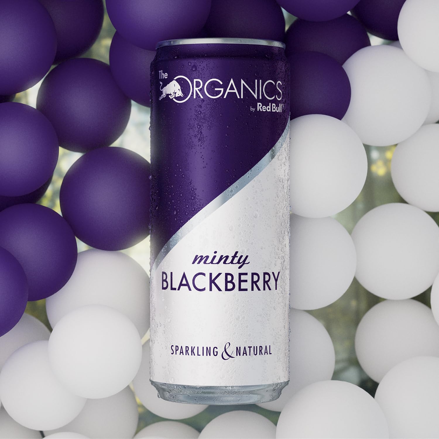 ORGANICS Minty Blackberry by Red Bull - 24er Palette Dosen - Bio-Erfrischungsgetränke mit - 100% natürliche Zutaten, EINWEG (24 x 250 ml)