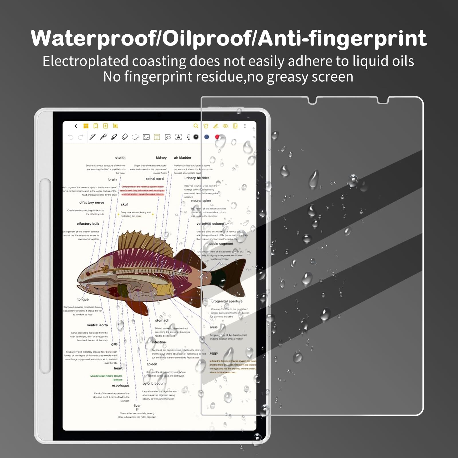 Antyodblaskowa osłona ekranu do tabletu XPPen Magic Note Pad 27.8 cm (2025), ochrona przed odciskami palców, odporna na zarysowania, w dotyku papieru, miękka folia PET, 2 szt., matowa