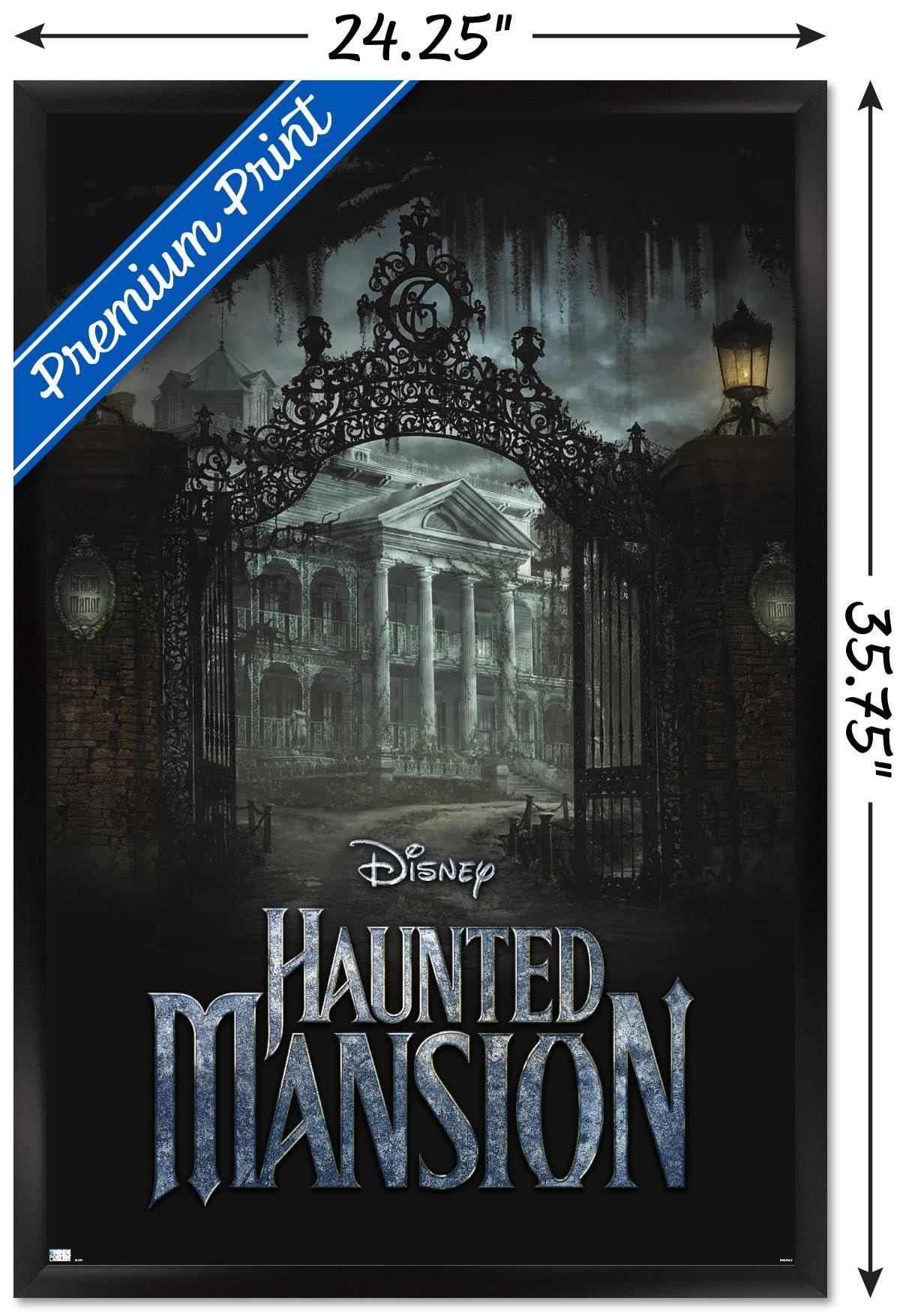 Disney Haunted Mansion - Mansion Wall Poster : Amazon.ca: Home