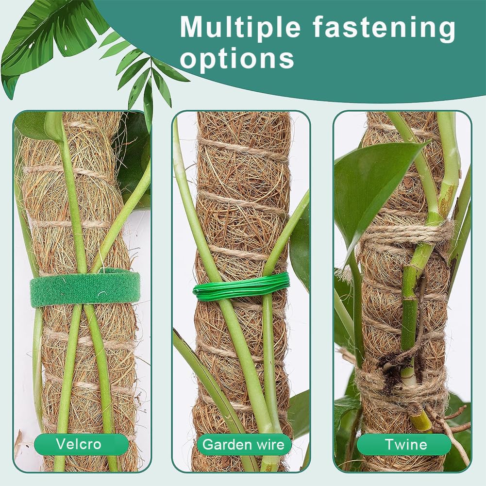 2 Bastoni Piante Muschio 64 Cm - Supporto Rampicanti Con Accessori - Foto 2