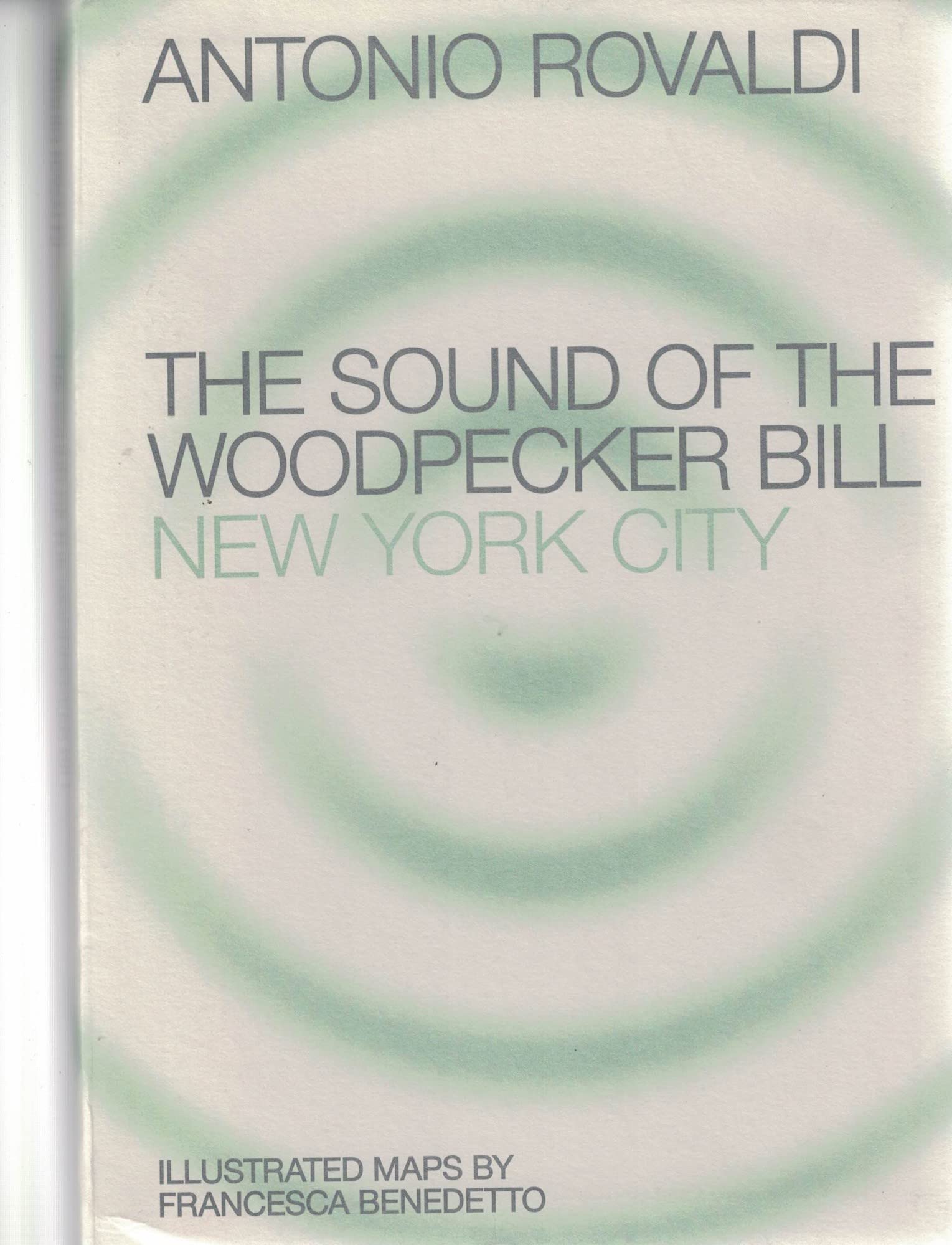 End. The Sound Of The Woodpecker Bill: New York City. Ediz. Illustrata - 4