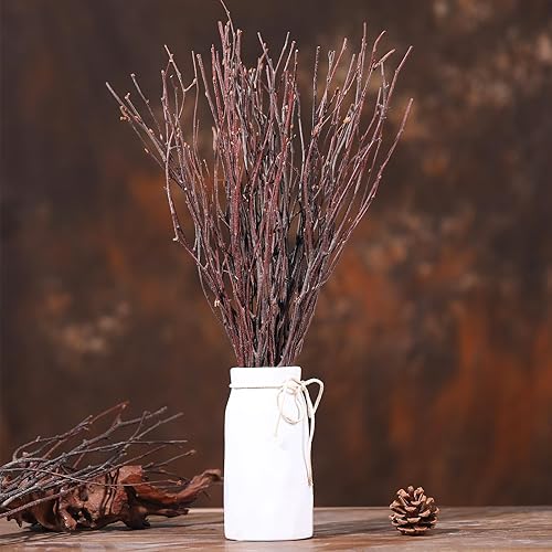 Miniatura 4 de 40 ramitas de abedul secas reales Ramas de abedul decorativas naturales de 17 pulgadas para jarrón, centro de mesa, palos para manualidades de