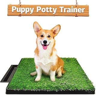 Hompet Hundeklo Hundetoilette Welpentoilette Trainingsunterlage, Indoor Hundetöpfchen, Hunde Training Rasenmatte für Kleine Hunde Grosse Hunde ältere 63 x 51 x 7cm im test