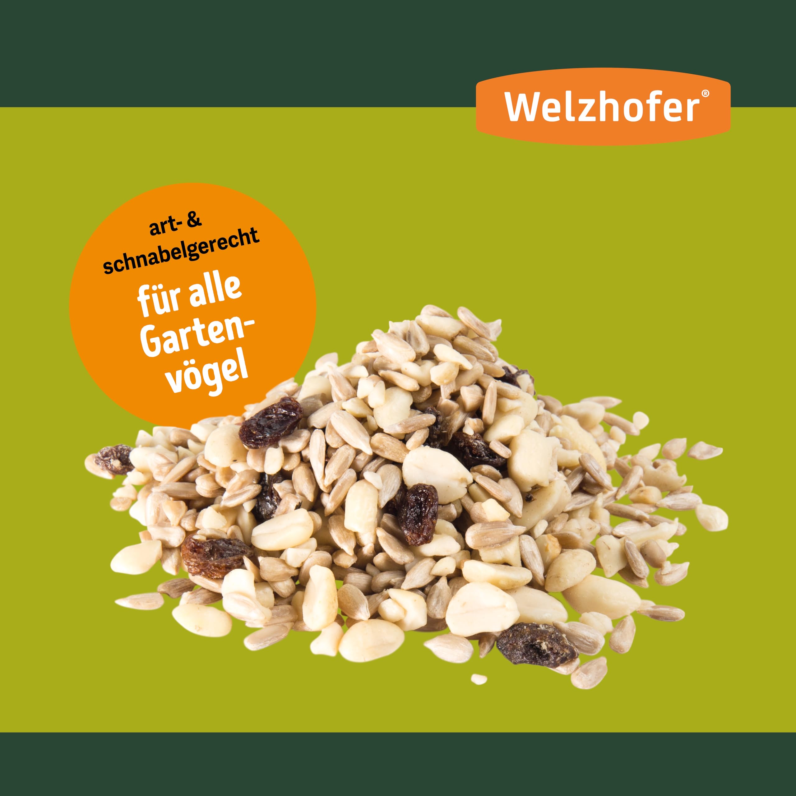 Spezialfutter 10kg - Schalenlose Mischung für Wildvögel für Balkon & Terrasse, perfekt für Beeren- & Körnerfresser. Gesunde Ernährung, Basis für Vitalität & Starkes Immunsystem