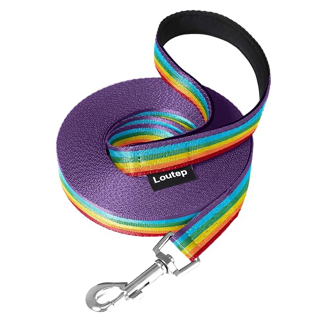 Loutep Correa de entrenamiento para perros Rainbow 3m 5m 10m 15m 20m 25m 30m Cuerda de nailon resistente…