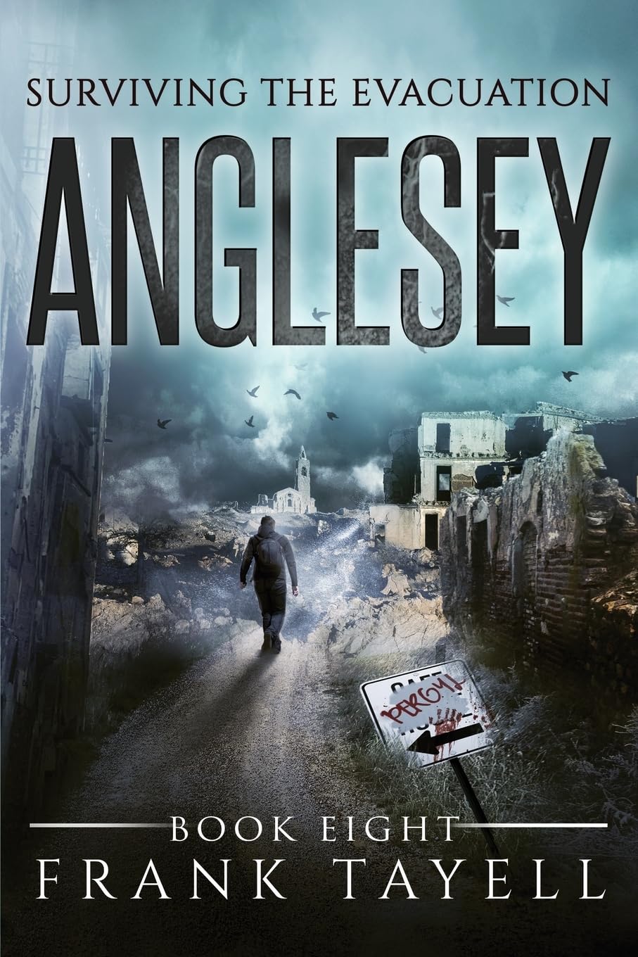Surviving The Evacuation, Book 8: Anglesey: Volume 8