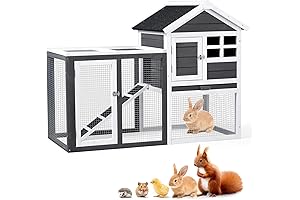 Small Outdoor Chicken Coop for Happy Hens