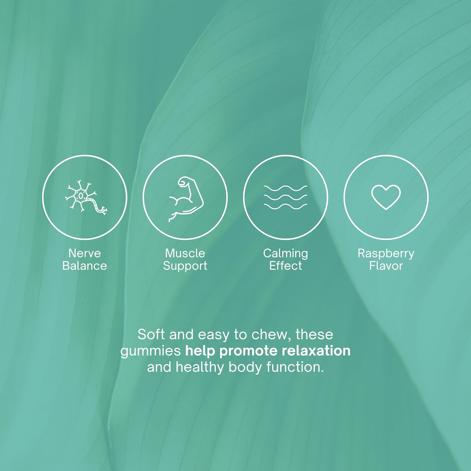 Chapter One Magnesium Gummies, Great Tasting Magnesium for Kids, Calm Kids Magnesium, Magnesium Gummies for Women and Men, Certified Kosher, (60 Flavored Gummies) - Image 2