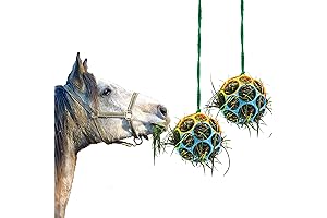 Besimple - Goat Feeder Ball Set of 2, an Entertaining Toy for Outdoor Caprine Play