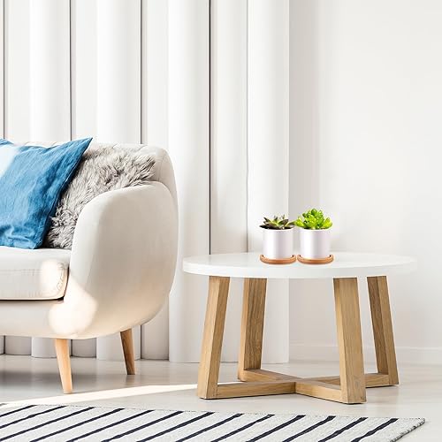 Miniatura 7 de Cindeer 12 juegos de macetas de cerámica para suculentas, macetas de cactus con bandeja de bambú, maceta cilíndrica pequeña con platillos de bambú