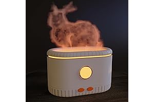 Flame Oil Diffuser & Home Humidifier