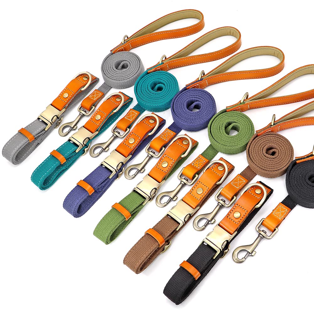 Collare per Cani guinzaglio Set Collana per Cani in Pelle di Nylon collari per targhetta identificativa per Animali Domestici 5 Piedi Corda da Passeggio per Cani Carlino