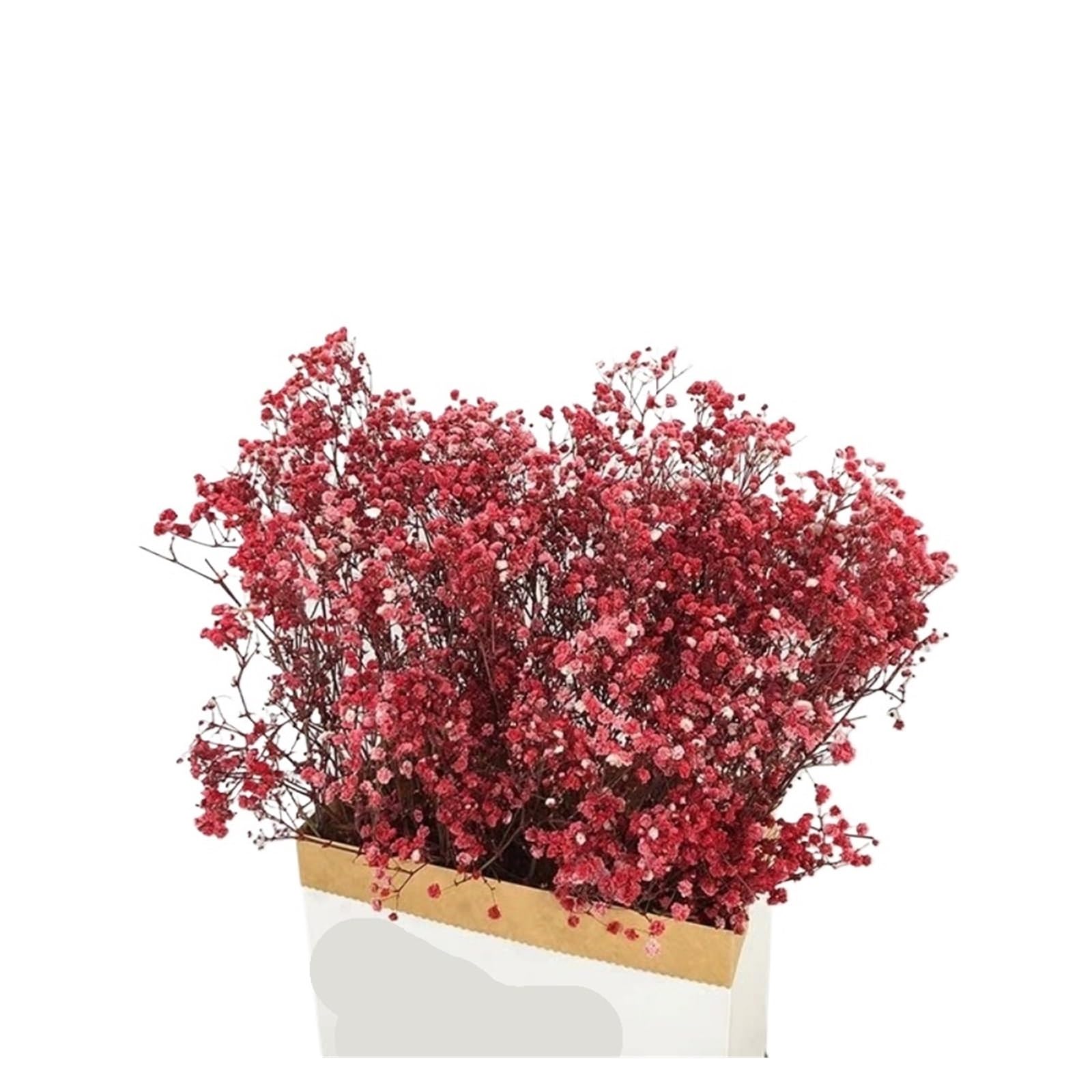 WJIAYAO dried gypsophila flowers 100g Dried Flowers Baby Breath Preserved Gypsophila Bouquet Home Decor Colorful Gypsophile Wedding Party Decoration(Red,60g)