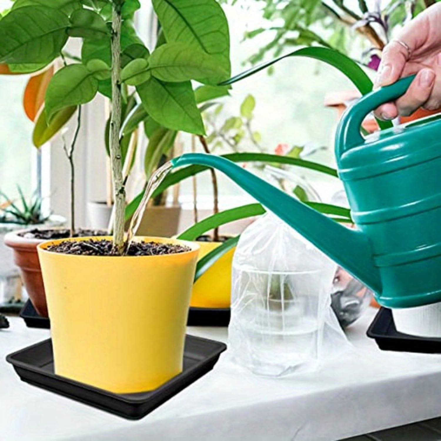 4 Pack 12 Inch Square Plant Saucer, Plant Drip Trays and Flower Pot Saucers, Plant Trays for Indoors No Holes, Plant Drainage Tray Saucers for Potted Plants (Black) - Image 8