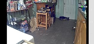 Review Image by Digited Digited