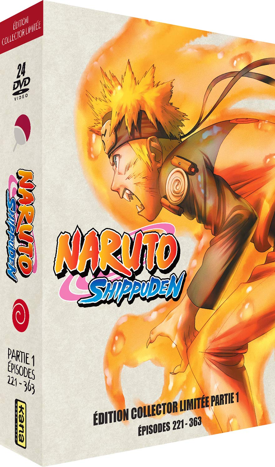 Naruto Shippuden - Intégrale Partie 1 [Édition collector limitée A4]