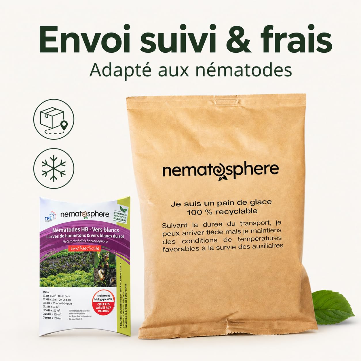 Nématodes HB Anti Vers Blancs (250 Millions pour 500 m²)