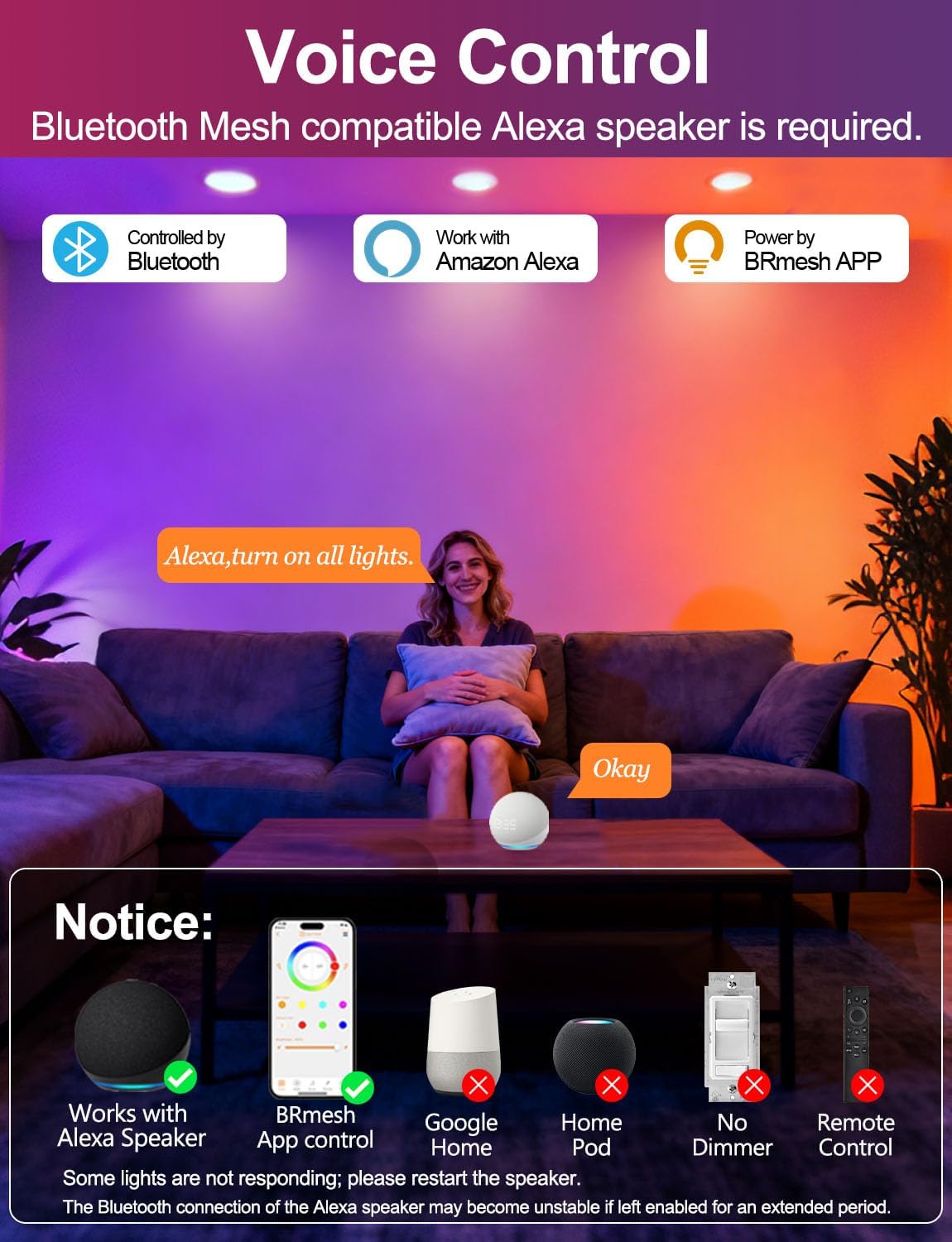 Alexa Voice Control and BRmesh App Control