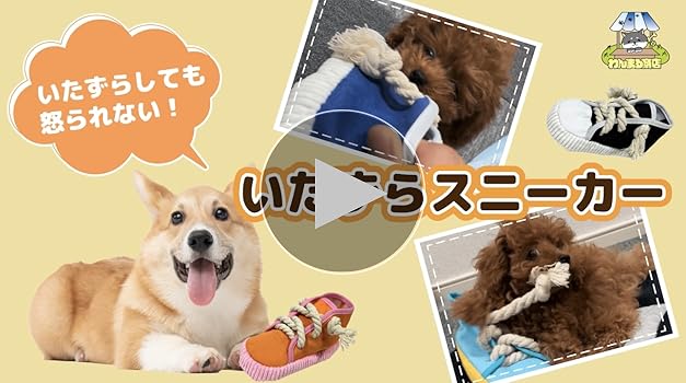 音がなるわんこ 改良版》【犬が超反応する音】乗り物の音編Vol.1（Sounds that