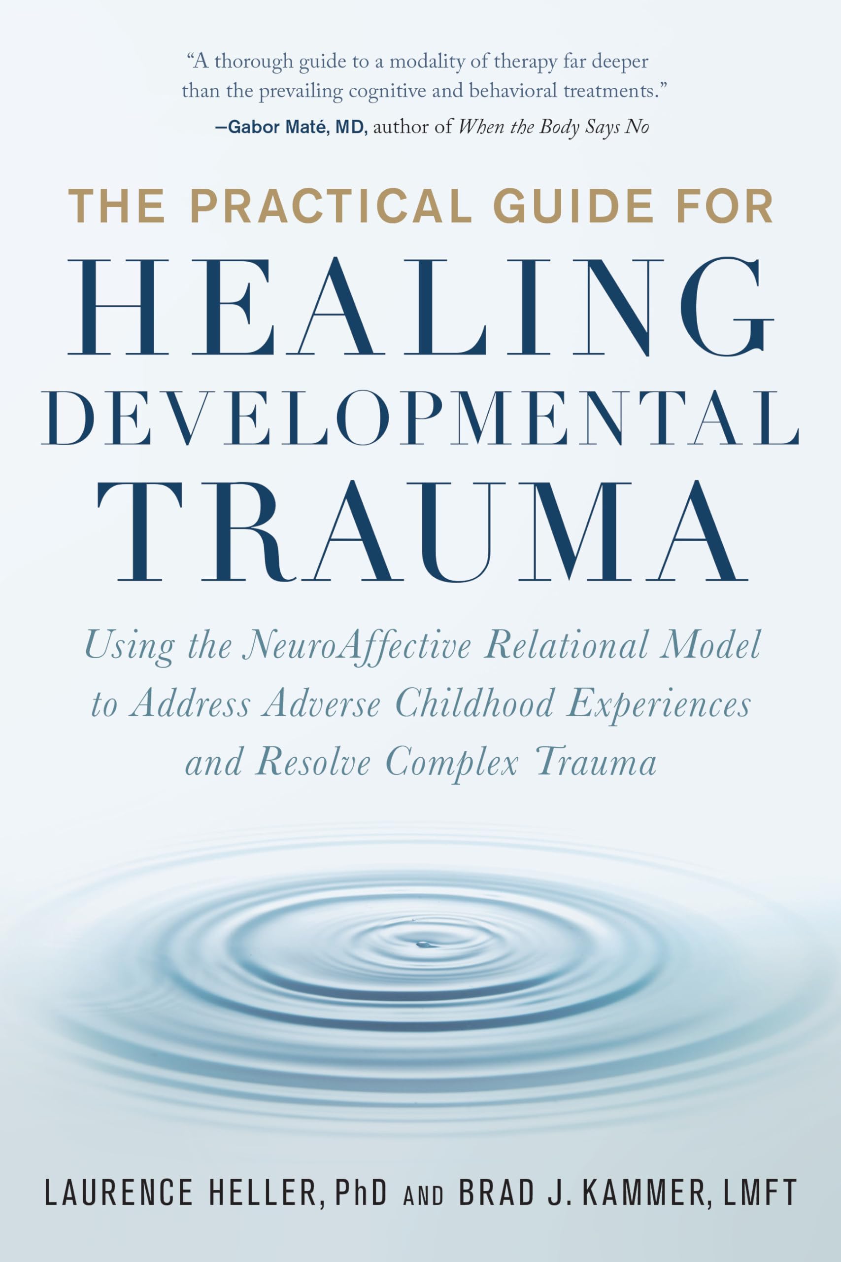 The Practical Guide for Healing Developmental Trauma: Using the NeuroAffective Relational Model to Address Adverse Childhood Experiences and Resolve Complex Trauma Paperback – 26 July 2022