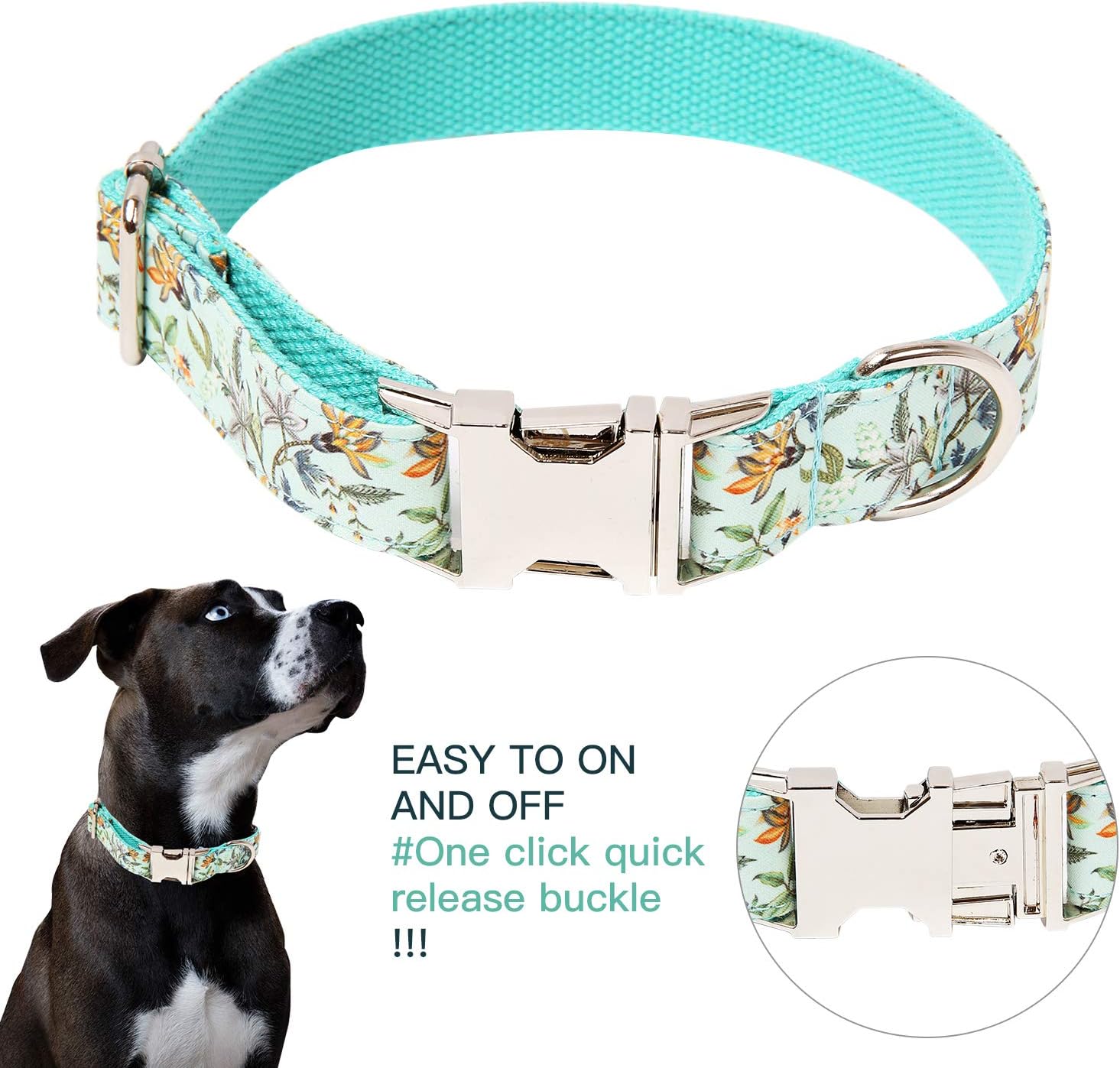 Timos Dog Collar for Small Medium Large Dogs,Adjustable Soft Puppy Collars with Metal Buckle,Printing Light Cyan,S Length 9.84‘’-14.96‘’ : Pet Supplies