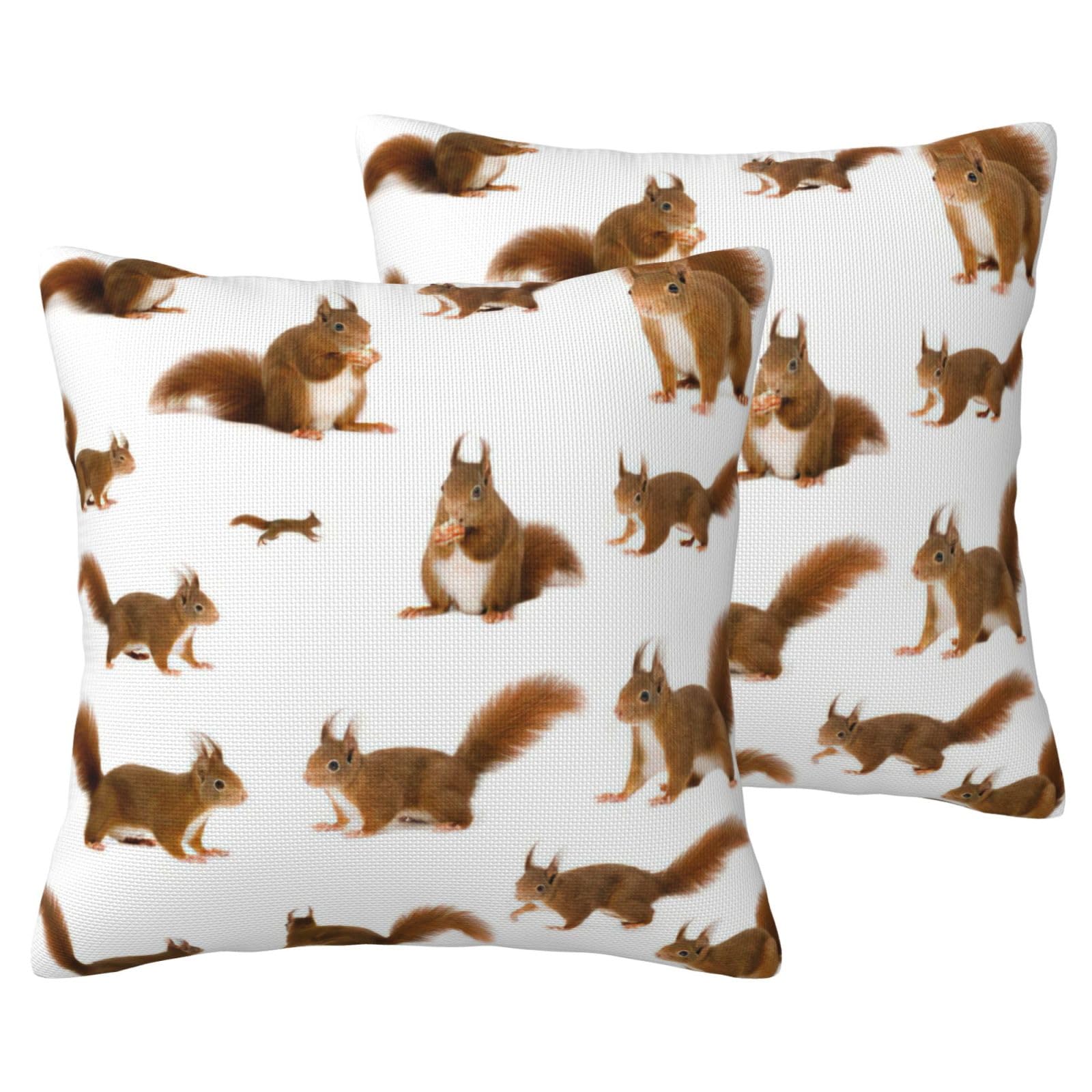 Housses de coussin écureuil en imitation lin de qualité supérieure pour lit