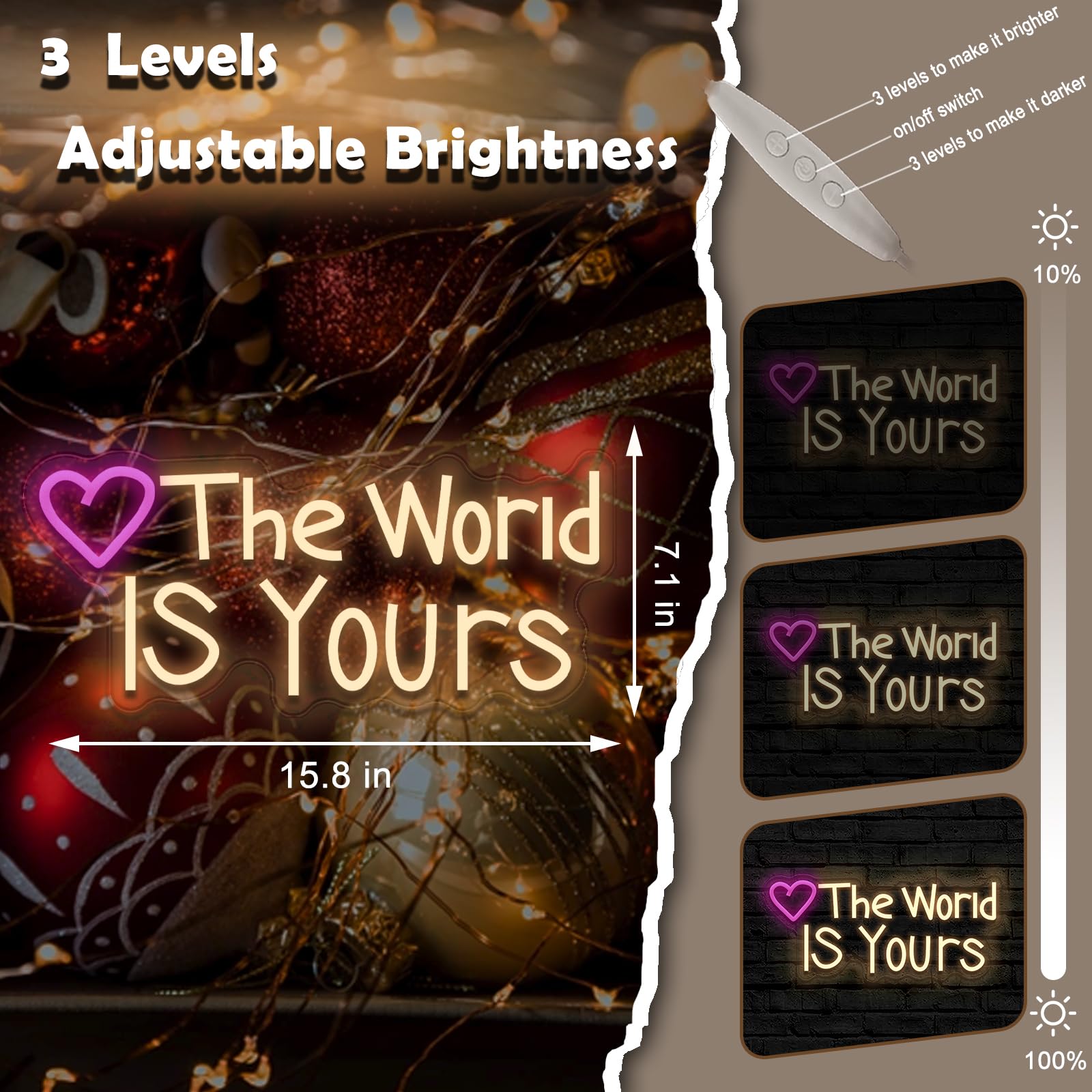 The World IS Yours Neonschild Today für Hochzeit, Geburtstag, Mädchen, Party, Wanddekoration, dimmbar, USB-betrieben, rosa Sonne und rosa Herz, motivierendes Geschenk für Frauen