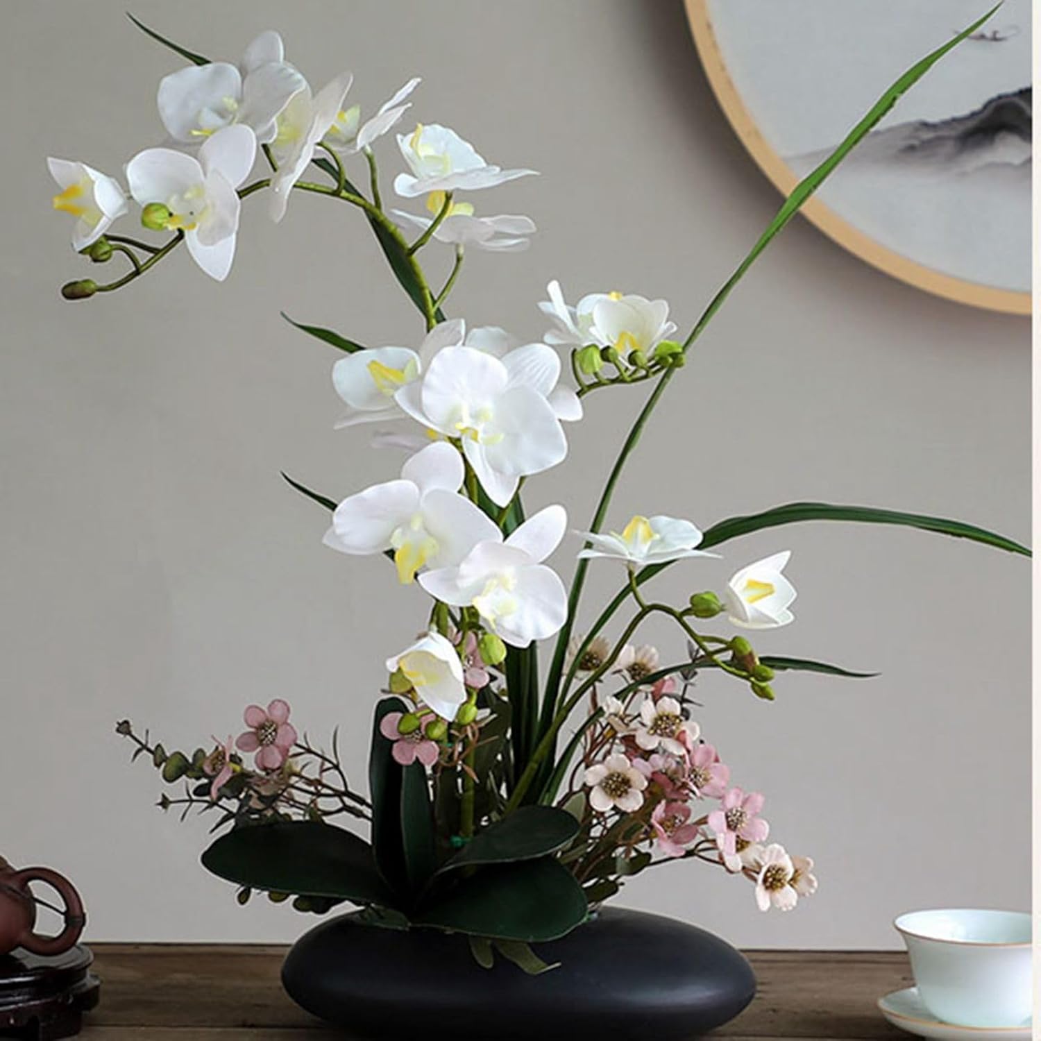 モミジ 赤紫葉 中型 大鉢 大鉢 植木 モミジ 赤紫葉 中型 大鉢 大鉢 植木