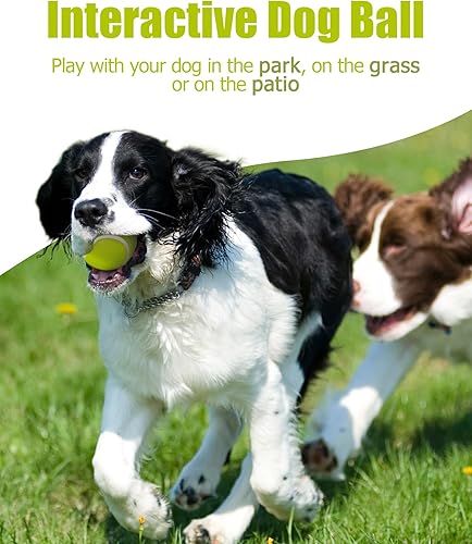 10 Pack Small Tennis Balls for Dogs, Easy Catching Pet Balls for Exercise and Fetch, 2-inch Dog Tennis Ball, Interactive Toys(15 Pack)