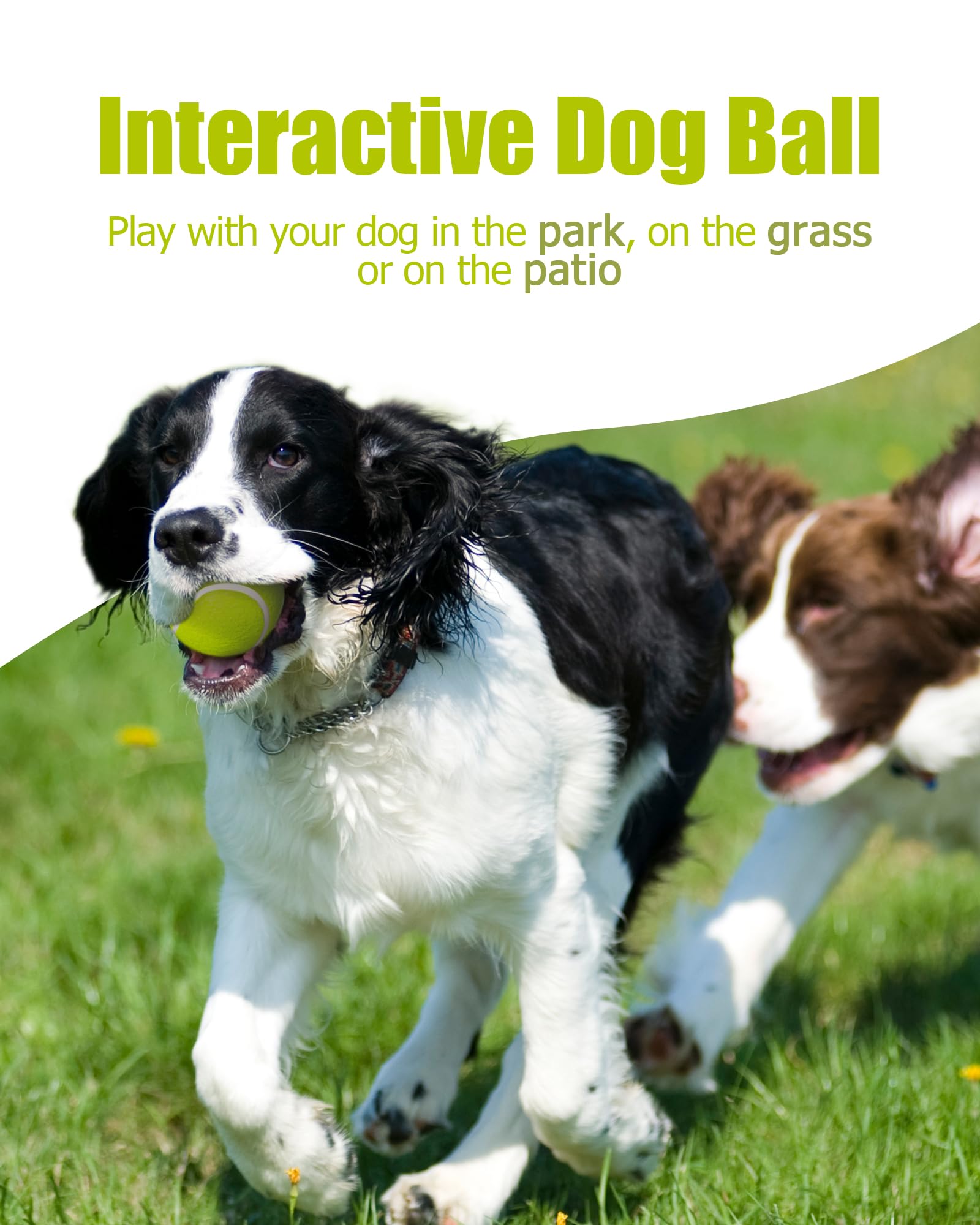 Piccole palline da tennis per cani, confezione da 10 palline per animali domestici facili da catturare per esercizi e recuperare, palline da tennis per cani da 5,1 cm, giocattoli interattivi