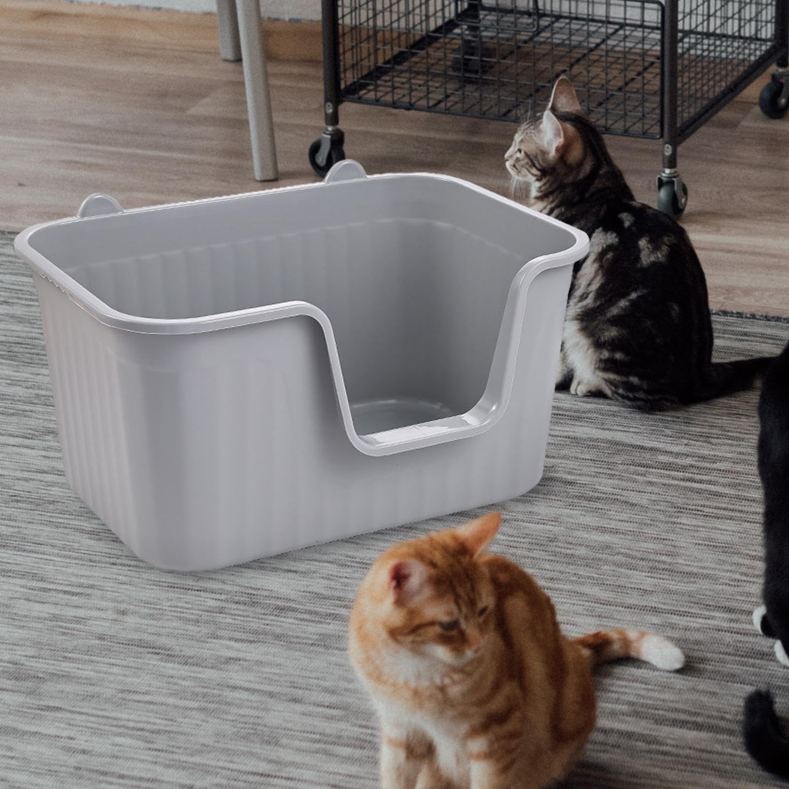 Arenero para Gatos de Interior, Resistente a Salpicaduras Y con Bordes