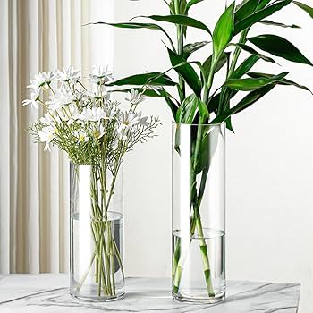 Amazon.co.jp: YJFFQ フラワーベース ガラス 花瓶 15*40cm 大きい 大型