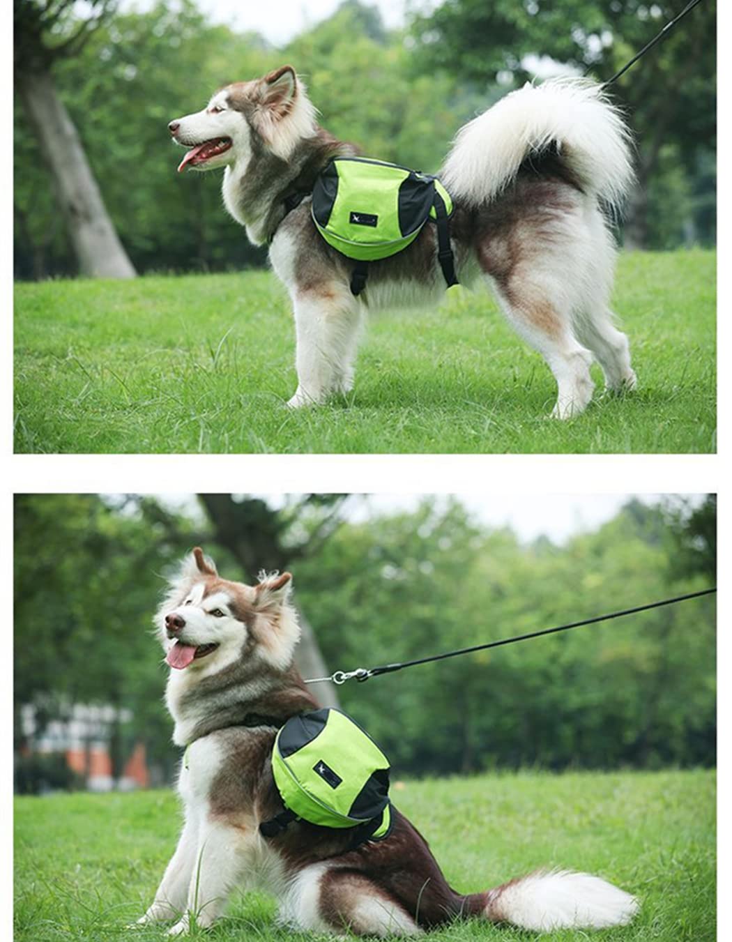Sacoche de Selle Sac à Dos pour Chien Moyens & Grands, Harnasi Veste Gilet Imperméable Réglable Grande pour Voyage Entraînement Harnais Réfléchissant avec Poignée (Orange, M (Chien 18kg - 28kg))