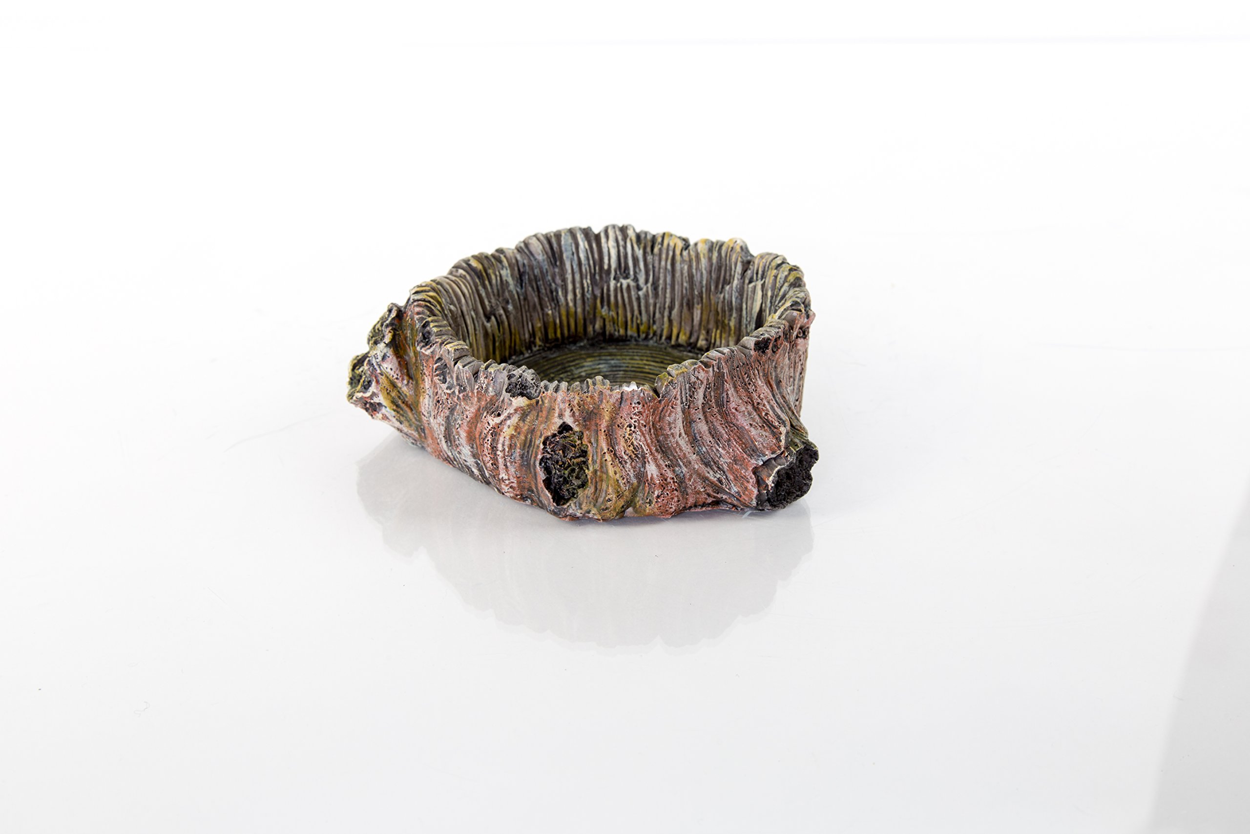 BioBubble Origins Series Stump Bowl Ornament, Large