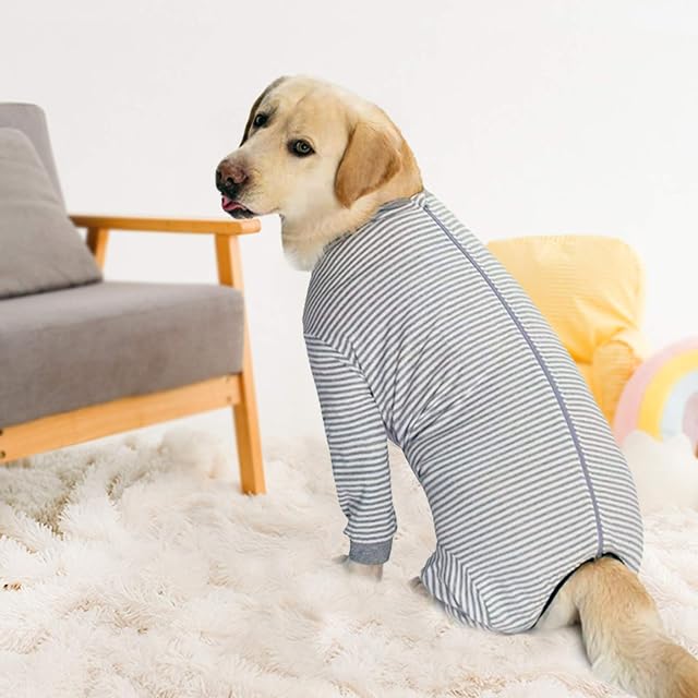 Foto 5 de 7 de Pijama de una Pieza para Perros Grandes y medianos para la pérdida de Cabello, alergias, antifugas