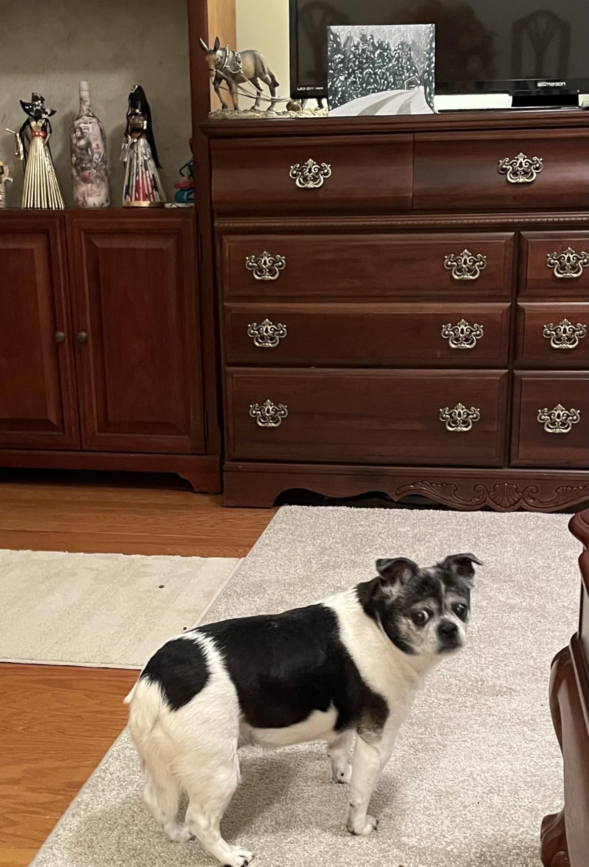 Blue Buffalo Life Protection Formula Adult Dry Dog Food, Chicken & Brown Rice Recipe, Made with Natural Ingredients, Helps Build and Maintain Strong Muscles, 15-lb. Bag photo review