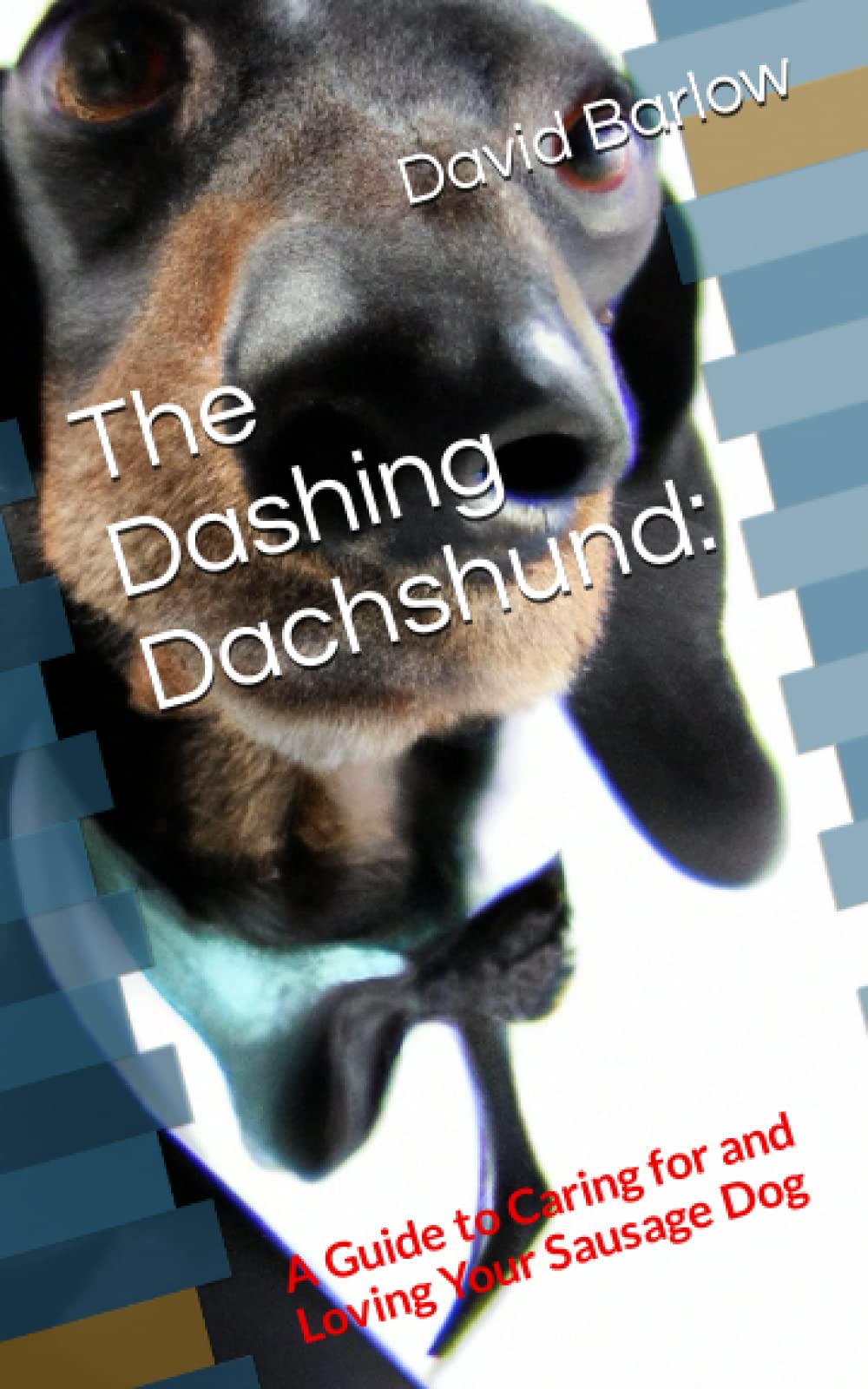 The Dashing Dachshund:: A Guide to Caring for and Loving Your Sausage Dog